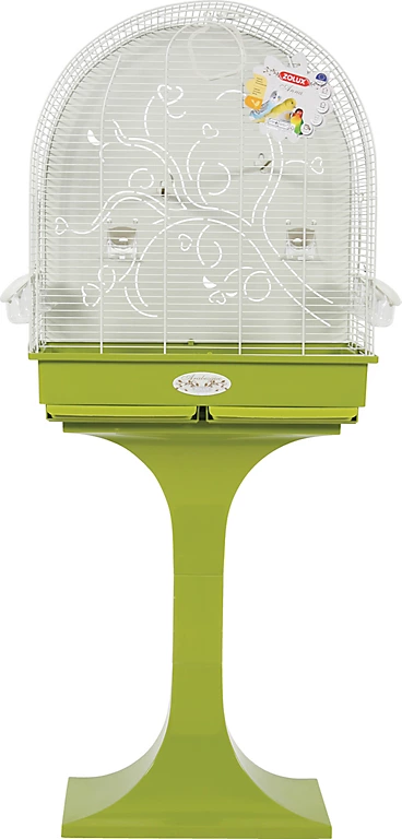 Castorama Cage Arabesque Anna 60 Cm Sur Pied Zolux Olive 3 Castorama Cage Arabesque Anna 60 Cm Sur Pied Zolux Olive