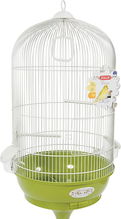 Castorama Cage Arabesque Léonie 50 Cm Sur Pied Zolux Olive 3 Castorama Cage Arabesque Léonie 50 Cm Sur Pied Zolux Olive