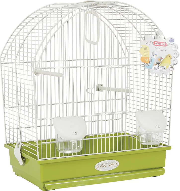 Castorama Cage Arabesque Salomée 40 Cm Zolux Olive 3 Castorama Cage Arabesque Salomée 40 Cm Zolux Olive