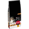 Castorama Croquettes Pour Chien Pro Plan Medium Adult Riche En Poulet Et Riz 14kg -France Animalerie Soldes Boutique croquettes pour chien pro plan medium adult riche en poulet et riz 14kg7613035120488 01c FR CF