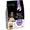 Castorama Croquettes Pour Chien Pro Plan Medium & Large Adult 7+ Riche En Poulet Et Riz 3kg -France Animalerie Soldes Boutique croquettes pour chien pro plan medium large adult 7 riche en poulet et riz 3kg7613035124974 01c FR CF