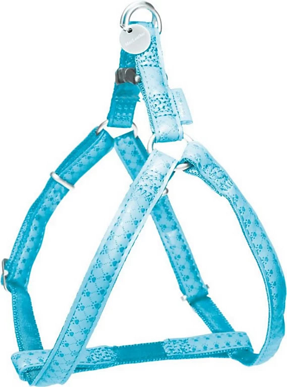 Castorama Harnais Réglable Mc Leather 10mm Turquoise 3 Castorama Harnais Réglable Mc Leather 10mm Turquoise