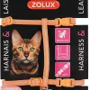 Castorama Kit Sellerie Pour Chat Orange 1 Castorama Kit Sellerie Pour Chat Orange -France Animalerie Soldes Boutique kit sellerie pour chat orange3336026200214 01c FR CF