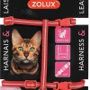 Castorama Kit Sellerie Pour Chat Rouge