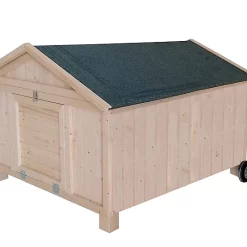 Castorama Poulailler Forest Style Cassie 2 Poules