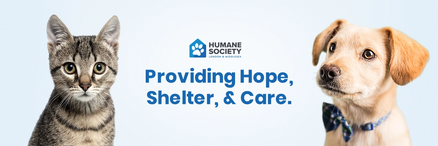 France Animalerie Soldes Boutique -France Animalerie Soldes Boutique 18.11 HSLM Social Graphics Twitter Cover